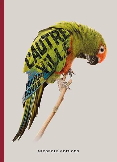 L'Autre ville est un roman de Michel Ajvaz, traduit du tchèque par Benoît Meunier