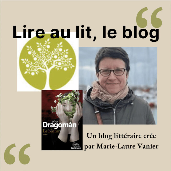 ||La femme aux cheveux roux de Pamuk par Marie-Laure Vanier du blog Lire au lit||||