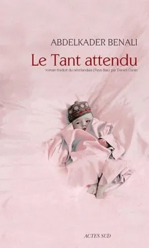 Le tant attendu est un roman d'Abdelkader Benali, traduit du néerlandais par Daniel Cunin