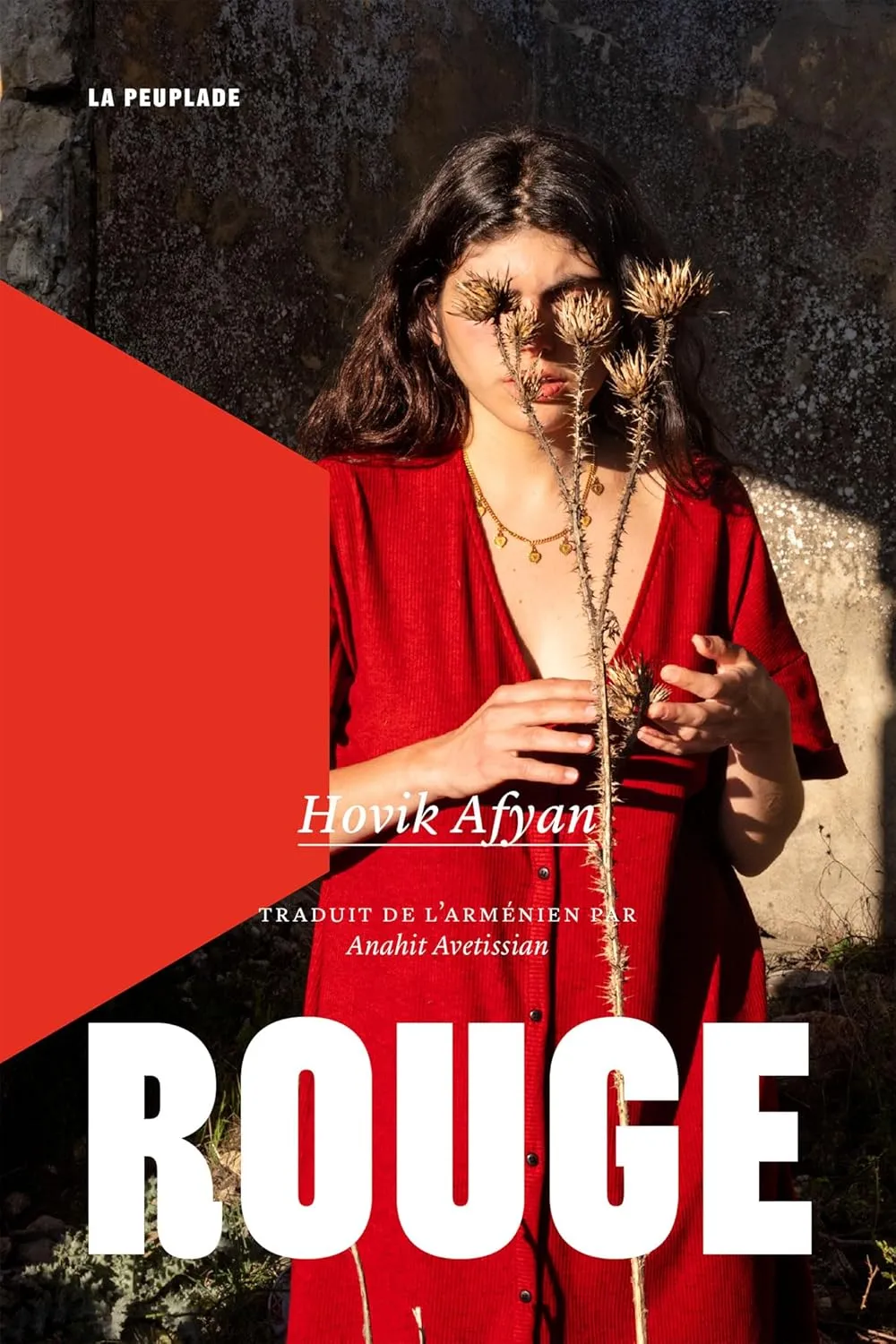 Rouge est un roman de Hovik Afyan traduit de l'arménien
